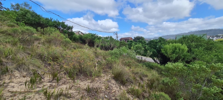  Bedroom Property for Sale in Sedgehill Western Cape